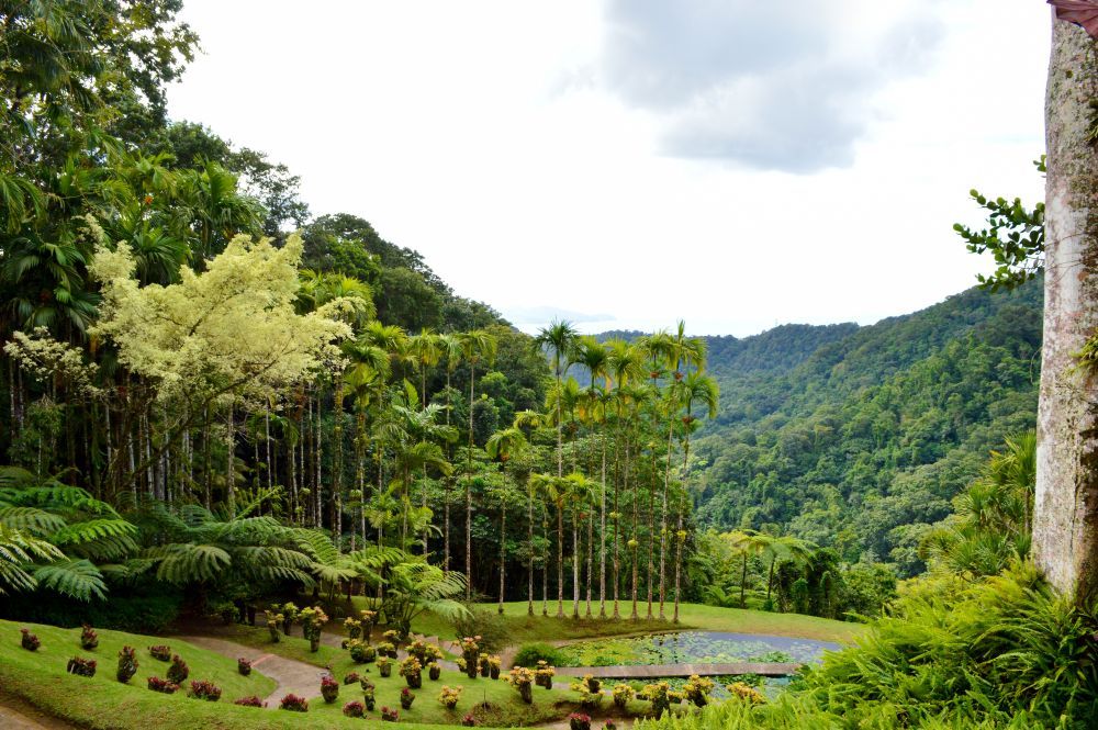 Jardins de Balata, Martinique